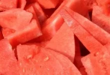 صورة هل الأنظمة الغذائية التي تعتمد على نوع طعام واحد تخفض الوزن أم تشكل خطراً على صحتك؟