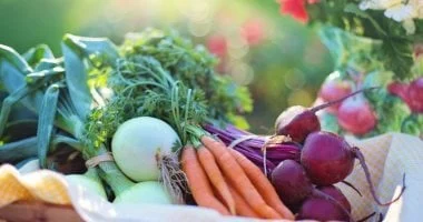 صورة اتباع نظام غذائي مقيد بأطعمة محددة يُحدث تغيرات في بكتيريا الأمعاء
