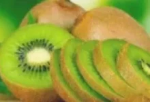صورة كيف يساهم الكيوي في علاج الإمساك وتخفيف أعراض القولون العصبي؟