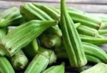 صورة فوائد شرب ماء البامية صباحا تشمل إنقاص الوزن وضبط سكر الدم