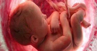 صورة دراسة تكشف عن أسباب التوحد والاكتئاب في مراحل مبكرة من تطور دماغ الجنين
