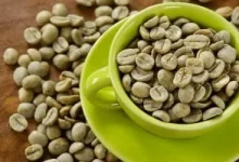 صورة مقارنة مع الحبوب المحمصة.. كيف تساهم القهوة الخضراء في فقدان الوزن؟