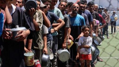 صورة حماس: أطنان المساعدات مكدسة في معبر رفح بينما غزة تموت جوعا