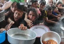 صورة حوالي 720 مليون شخص حول العالم عانوا من الجوع خلال 2024
