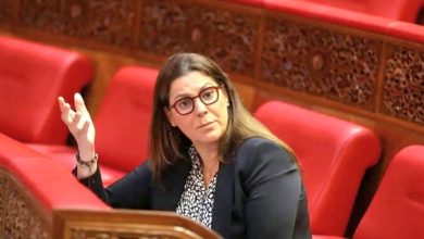 صورة المنصوري ردا على حملة « التسريبات »… الأراضي موضوع الجدل ليست أملاك الدولة أو الجماعة بل هي أملاك العائلة