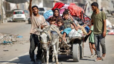 صورة بعد الأراضي والبيوت.. إسرائيل تصادر حمير الغزيين بدعوى حمايتها من « صدمات نفسية »