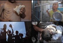 صورة أطفال غزة بين الموت جوعا وأكل الرمال (قصص إنسانية)