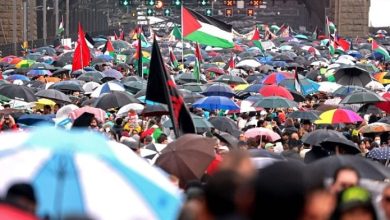 صورة “مسيرة من أجل الإنسانية”.. آلاف المتظاهرين المؤيدين للفلسطينيين ينظمون مسيرات عبر جسر هاربور في سيدني