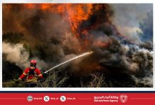 صورة رجال الإطفاء يواصلون العمل لاحتواء أسوأ حريق غابات تشهدها فرنسا منذ عقود