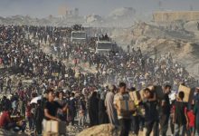 صورة الأونروا: لا يمكن استمرار قتل الفلسطينيين أثناء محاولتهم جلب الطعام