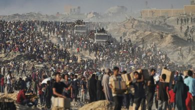 صورة الأونروا: لا يمكن استمرار قتل الفلسطينيين أثناء محاولتهم جلب الطعام