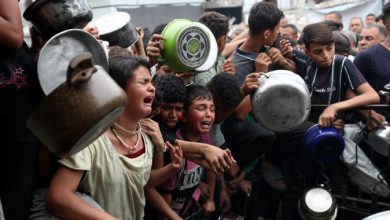 صورة بعد انقلاب شاحنة مساعدات عليهم.. مقتل 20 فلسطينياً وسط غزة