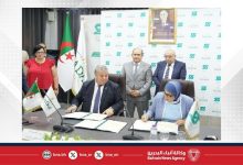 صورة الجزائر تطلق مشروعاً رائداً للعلاج بالخلايا الجذعية باستثمار 65 مليون يورو