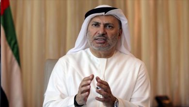 صورة جهود محمد بن زايد الحكيمة مهدت لاتفاق السلام التاريخي بين أذربيجان وأرمينيا