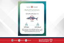 صورة اعتبارًا من 15 أغسطس الجاري حتى 15 أكتوبر..المجلس الأعلى للبيئة يعلن بدء سريان فترة حظر صيد أسماك الكنعد