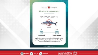 صورة اعتبارًا من 15 أغسطس الجاري حتى 15 أكتوبر..المجلس الأعلى للبيئة يعلن بدء سريان فترة حظر صيد أسماك الكنعد