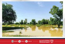 صورة السيول والأمطار الغزيرة تودي بحياة أربعة أشخاص في موريتانيا