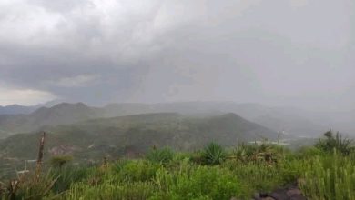 صورة الأرصاد يتوقع هطول أمطار على عدن وعدة محافظات