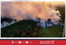 صورة تحسن الطقس يساعد إسبانيا في السيطرة على أسوأ حرائق غابات منذ عقود