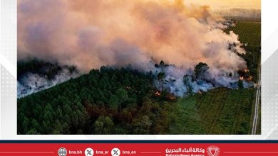 صورة تحسن الطقس يساعد إسبانيا في السيطرة على أسوأ حرائق غابات منذ عقود