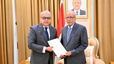 صورة الرئيس العليمي يتلقى دعوة ورسالة من نظيره الرئيس السيسي