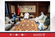 صورة وزير الخارجية يستقبل المدير التنفيذي للمعهد الدولي للدراسات الاستراتيجية في الشرق الأوسط