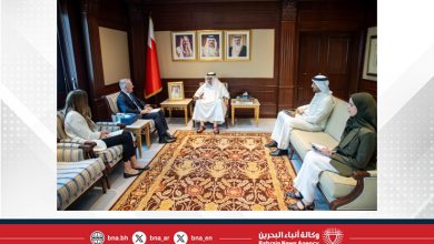 صورة وزير الخارجية يستقبل المدير التنفيذي للمعهد الدولي للدراسات الاستراتيجية في الشرق الأوسط