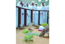 صورة «أبوظبي للصيد والفروسية» رسالة إماراتية أصيلة إلى العالم