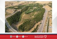 صورة إصابة شخصين جراء حريق واسع في غابات إقليم كردستان العراق