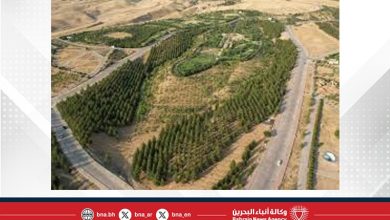 صورة إصابة شخصين جراء حريق واسع في غابات إقليم كردستان العراق