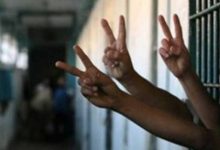 صورة انتشار مرض الجرب وسوء معاملة الأسرى في سجن النقب