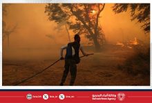 صورة حرائق الغابات تتوسع جنوبي العاصمة الجزائرية وسط موجة حر شديدة