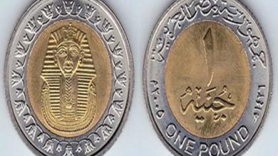 صورة ضع جنيهاً معدنياً في الفريزر.. والسبب: صحتك