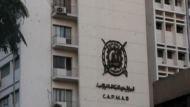 صورة الإحصاء: 634 مليون دولار  قيمة التبادل التجاري بين مصر وفيتنام خلال 20