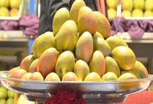 صورة وصلت إلى 15 جنيهًا.. شعبة الخضروات والفاكهة توضح أسباب تراجع أسعار الم