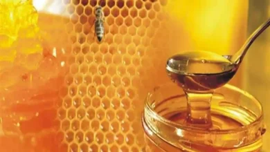 صورة غذاء ودواء في آنٍ واحد.. 3 فوائد مذهلة لعسل النحل