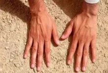 صورة هل يجوز التيمم حال انقطاع المياه يوم كامل؟.. أمينة الفتوى تجيب