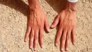 صورة هل يجوز التيمم حال انقطاع المياه يوم كامل؟.. أمينة الفتوى تجيب