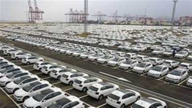 صورة بزيادة 83%.. سوق السيارات المصري يواصل انطلاقته القوية في 2025