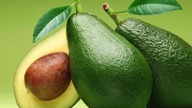صورة الأفوكادو.. ثمرة صحية مذهلة بـ 7 فوائد لا غنى عنها