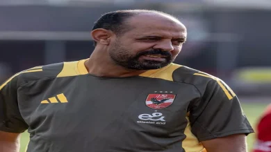 صورة عماد النحاس يكشف موقف الشناوي من مشاركة شوبير أساسيا