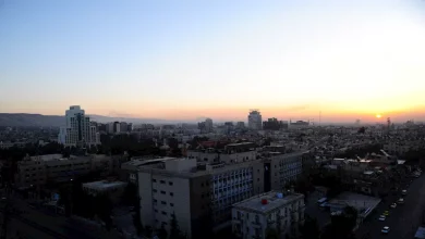 صورة حصان هارب من صاحبه يثير ضجة على مواقع التواصل “فيديو”