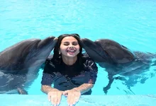 صورة 20 صورة .. منة عرفة في حمام السباحة مع الدولفين بالساحل الشمالي