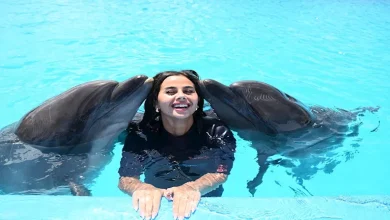 صورة 20 صورة .. منة عرفة في حمام السباحة مع الدولفين بالساحل الشمالي