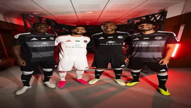 صورة بث مباشر الجزيرة والشارقة في الدوري الإماراتي