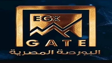 صورة بعد إطلاقه رسميا.. تعرف على خطوات تحميل تطبيق البورصة المصرية الجديد