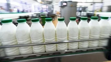 صورة استجابة للمبادرة.. أسعار الألبان تتراجع بنسبة تصل إلى 15%