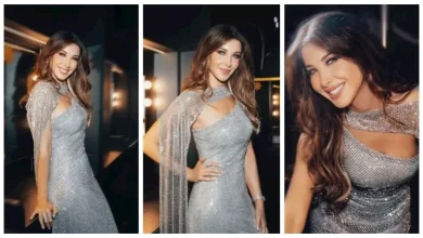 صورة “رقص وجمال”.. نانسي عجرم تخطف الأضواء في حفل لبنان