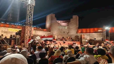 صورة علم مصر و”ميدلي” أغاني وطنية.. لقطات من حفل علي الحجار في القلعة (صور)