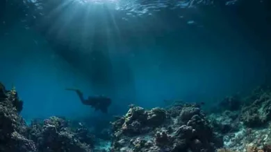 صورة ظاهرة جيولوجية غامضة.. علماء يرصدون قاع بحر مقلوب تحت الماء “صور”ظاهرة